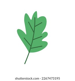 Ilustración de Hoja Verde. Adecuado para tu colección de hojas verdes