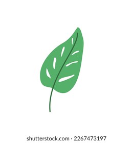 Green Leaf Illustration. Suitable for your collection of green leaves