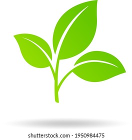 Green leaf illustration vector icon