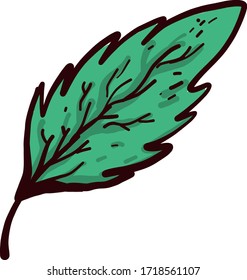 Green leaf, illustration, vector on white background
