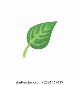 Green leaf illustration with veins Vector