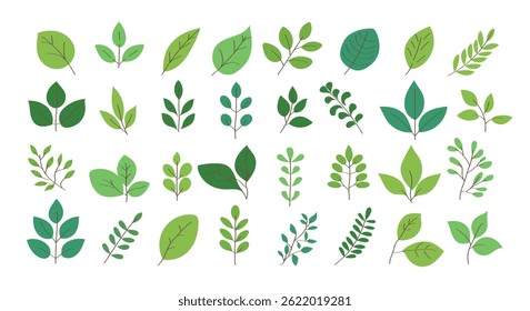 green leaf illustrations in flat style. Various plant and botanical designs with different shapes, veins, and stem arrangements. Ideal for eco-friendly projects, organic product label