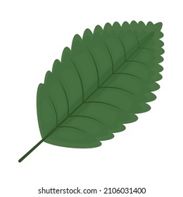 green leaf image over white