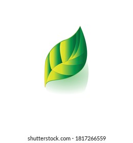 Green Leaf Images,Stock Photos and Vector.