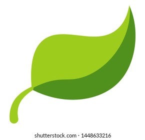 Hojas verdes aisladas identidad empresarial follaje y vectores de vegetación icono ecología y protección del medio ambiente y crecimiento de la seguridad y símbolo de reciclado de la agricultura emblema de planta o logotipo libre de OMG.