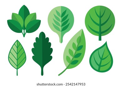 
Green leaf isolated flat vector illustration on white background.