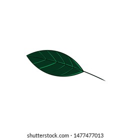 green leaf isolated illustration on white background in cartoon style. Element for design.