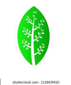 Green leaf isolated on white background. Eco icon. Vector illustration. 