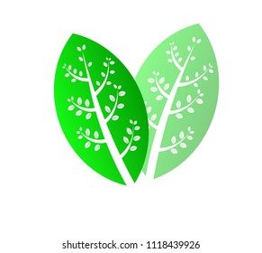 Green leaf isolated on white background. Eco icon. Vector illustration. 
