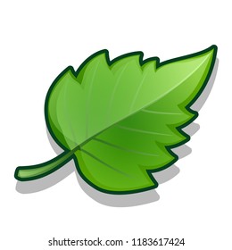 Green leaf isolated on white background. Vector cartoon close-up illustration.