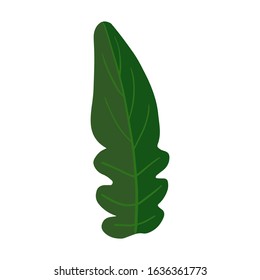 Green Leaf isolated on white background. Vegan, farm, organic, natural. Vegetable leaves. Simple vector illustration