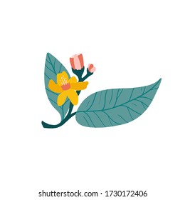 Green leaf isolated on a white background. Citrus in hand drawn style. Scandinavian nordic design for fashion or interior or cover or textile or background. 