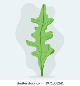 green leaf isolated on white.  Vector illustration