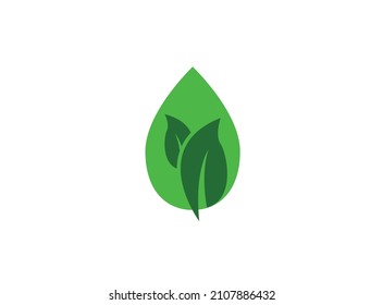 green leaf isolated on white