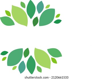green leaf isolated on white background and empty space for text