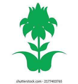 hoja verde aislada en el diseño del vector de baground blanco