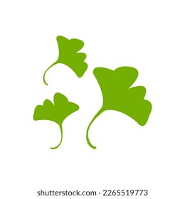 green leaf isolated on white background. ginkgo biloba leaves.