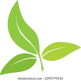 Feuille verte isolée sur fond blanc isolé, prête pour le design d'éléments ou de retouches.