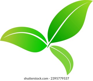Feuille verte isolée sur fond blanc isolé, prête pour le design d'éléments ou de retouches.