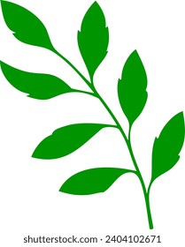 Hoja verde aislada en fondo blanco, lista para el diseño de elementos o retoque.