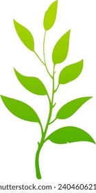Green leaf isolated on white background, ready for element or retouch design