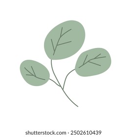 green leaf isolated on white background	