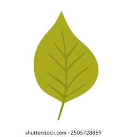 Hoja verde aislada sobre fondo blanco, Ilustración vectorial.
