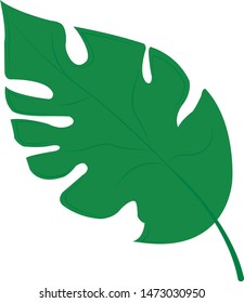 Green leaf isolated vector illustration