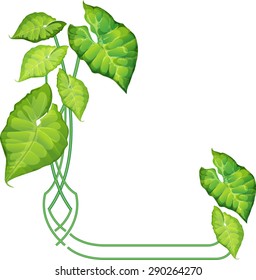 Green leaf isolated vector illustration