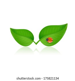 Green leaf with ladybird