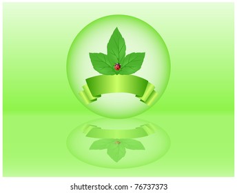 Green leaf with ladybug ribbon and enclosed in a glass sphere