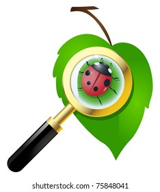 Green leaf with ladybug is under the magnifying glass