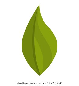 Green Leaf or leaves eco theme design, vector illustration icon.