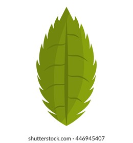 Green Leaf or leaves eco theme design, vector illustration icon.