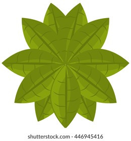 Green Leaf or leaves eco theme design, vector illustration icon.