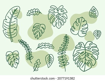Hojas verdes hojas de monstera conjunto de elementos de diseño Estilo de esquema
