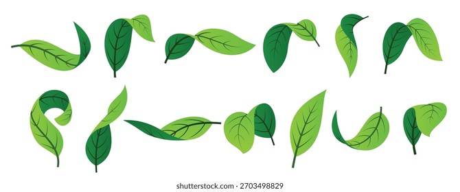 green leaf leaves of trees and plants nature elements 