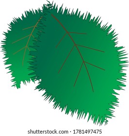 Hoja verde. Las hojas de los árboles. El verano.