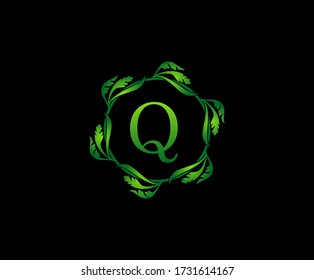 Diseño de logotipo redondo de la letra verde Q. logotipo de monograma. Un Sencillo Verde Swirl Deja Icono De Alfabeto.