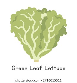 Ilustración vectorial plana de dibujos animados de lechuga de hoja verde