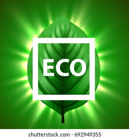 Green leaf with light beams and eco frame. Eco nature background concept. Vector illustration