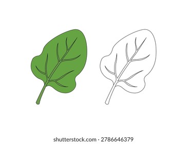 A green leaf and its line art counterpart are shown as vector illustrations, featuring detailed vein structures.