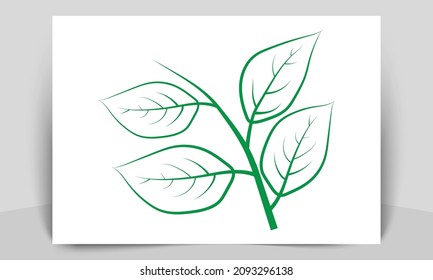 Green leaf Line art on white background
