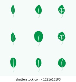 Green leaf line icon vector eps10.decoration and nature concept