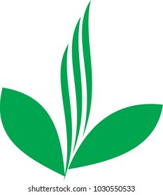 Green Leaf Logo
