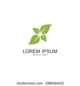 green leaf logo