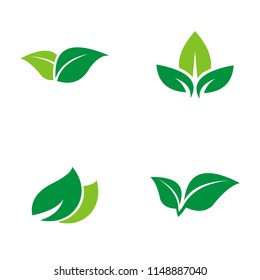 green leaf logo