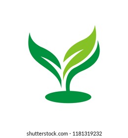 green leaf logo