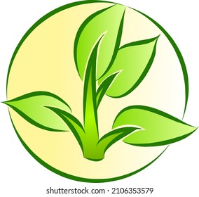 A green leaf logo with the circumference