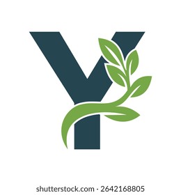 Green Leaf Logo Combine With Letter Y Vector Template